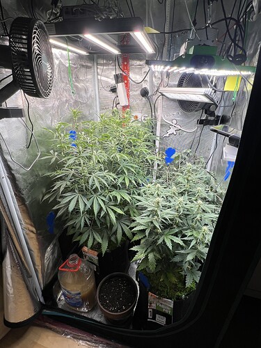 Growreport Bild 11