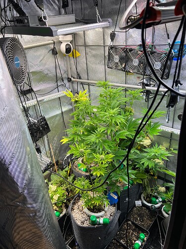 Growreport Bild 4