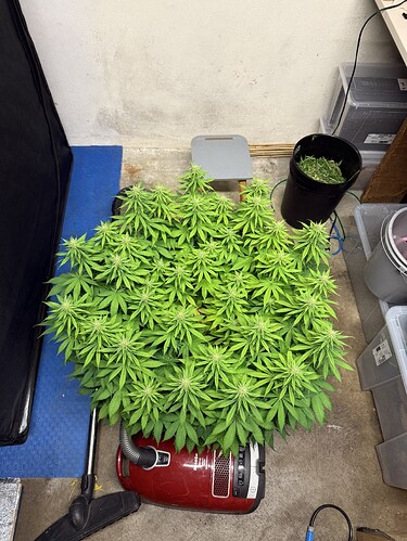 Growreport Bild 19