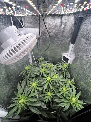 Growreport Bild 7
