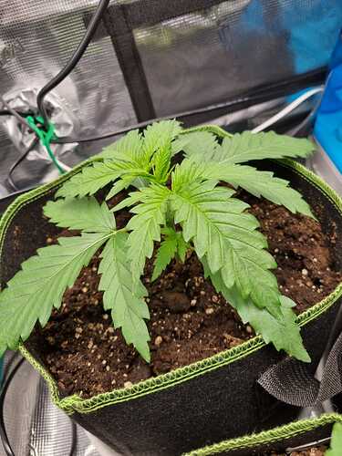 WhatsApp Image 2024-05-07 at 22.57.55(1)