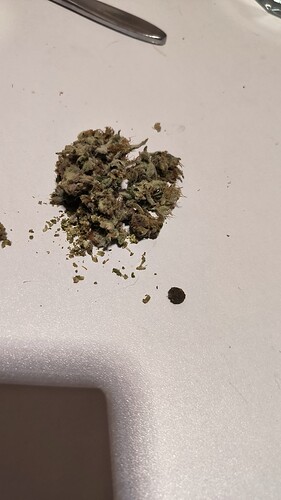 Growreport Bild 9