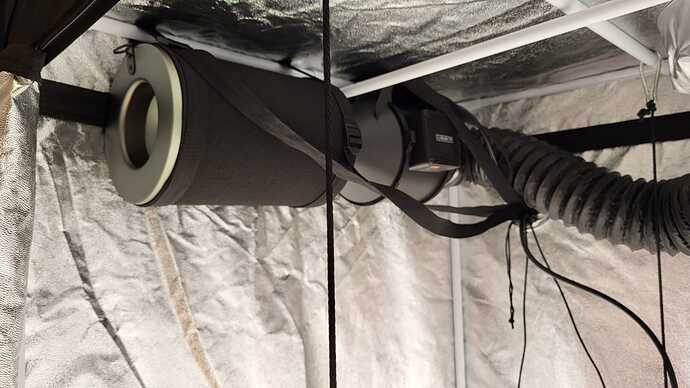 Growreport Bild 38