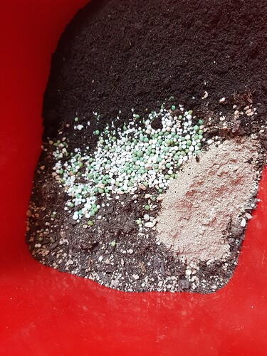 Alte Erde mit Wurmhumus, Guano und Tomatendünger