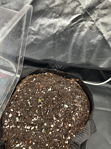 Growreport Bild 9