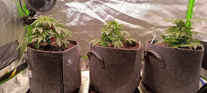 Growreport Bild 15