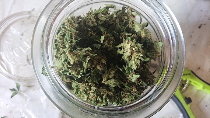 Growreport Bild 33