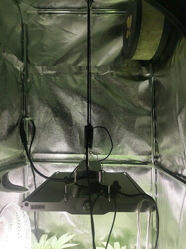 17273728746111506863158066118004