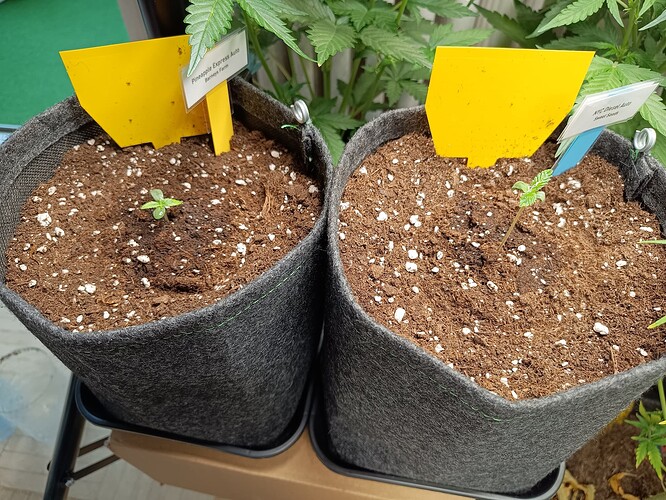 Growreport Bild 16