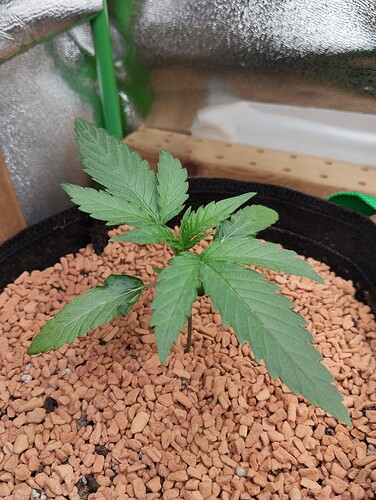 Growreport Bild 25