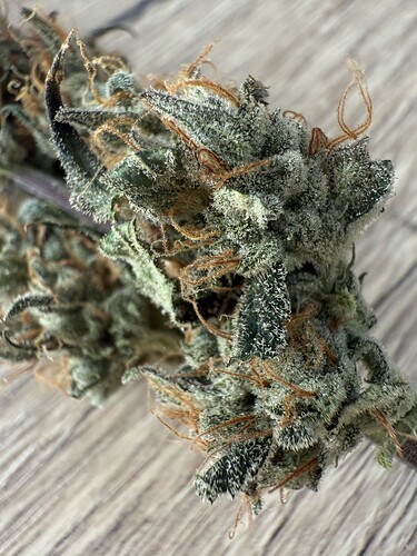 Growreport Bild 3