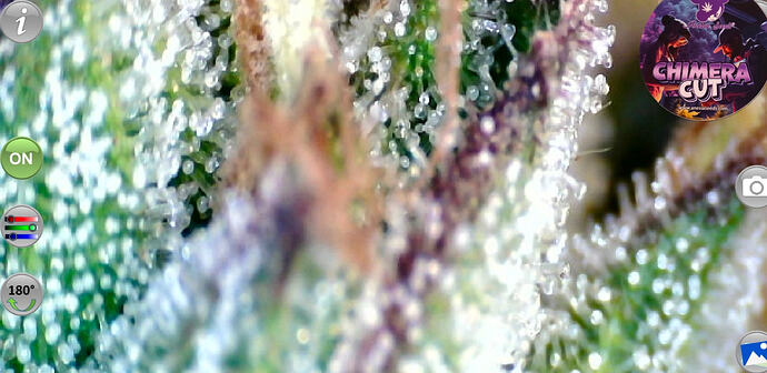 Growreport Bild 71