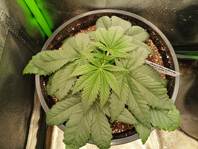 Growreport Bild 10
