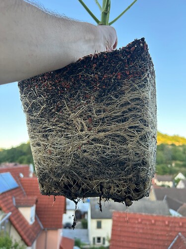 Growreport Bild 48
