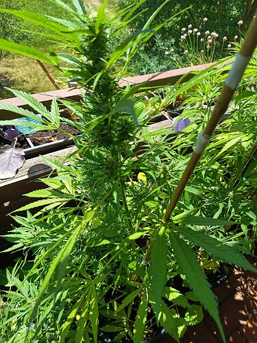 Growreport Bild 6