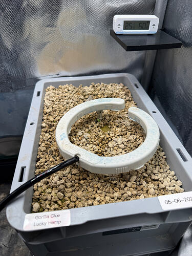 Growreport Bild 3