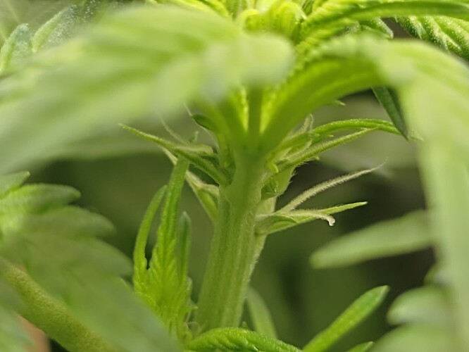 Growreport Bild 21