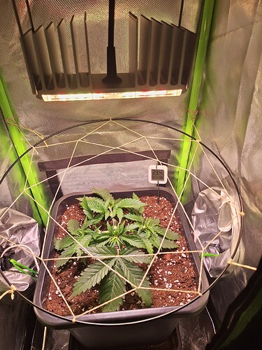 Growreport Bild 7