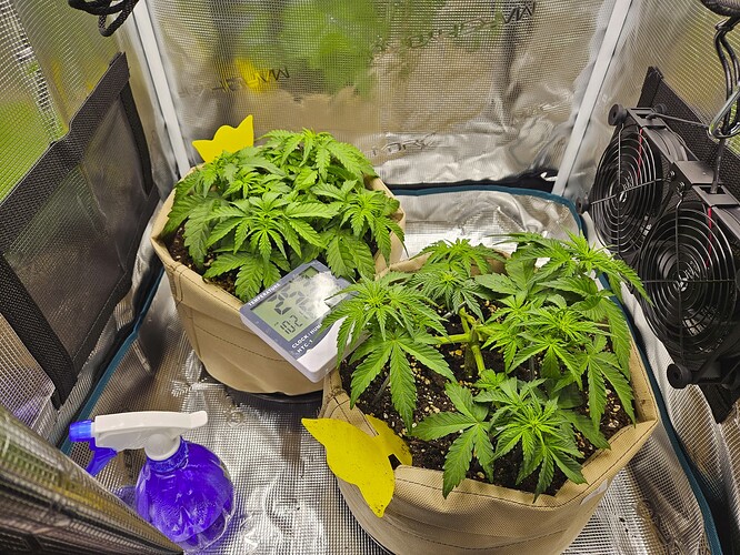 Growreport Bild 40