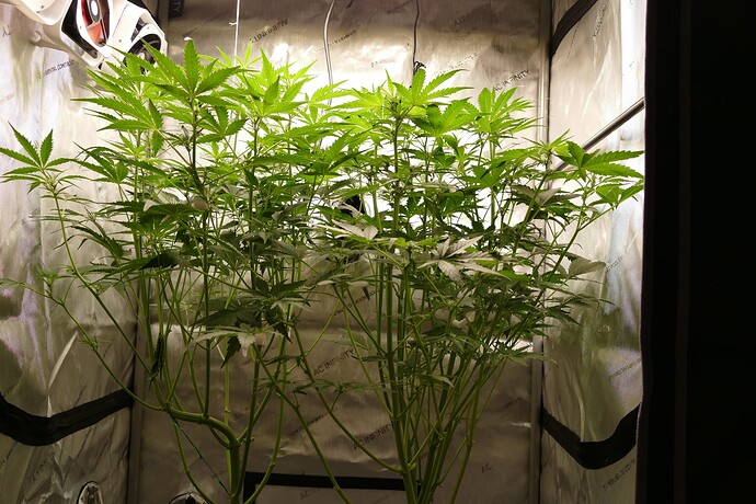 Growreport Bild 13