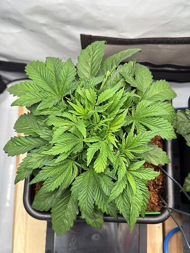 027038e0-07c4-4486-9e66-7bd6a8605833