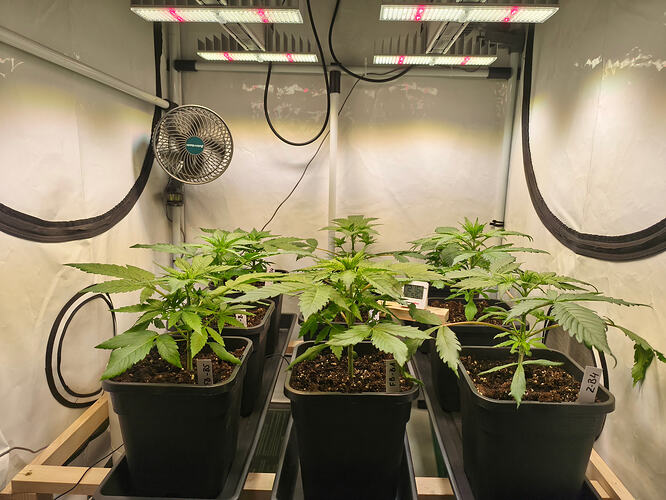 Growreport Bild 7