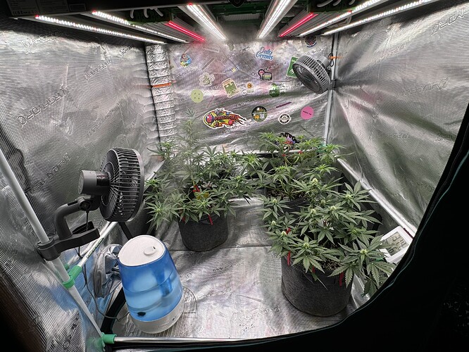 Growreport Bild 16