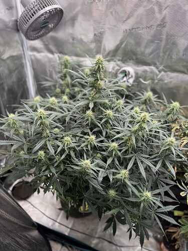 Growreport Bild 8