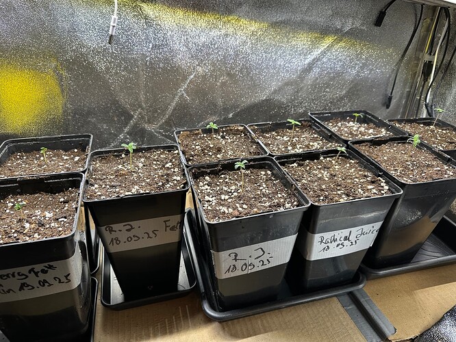 Growreport Bild 58