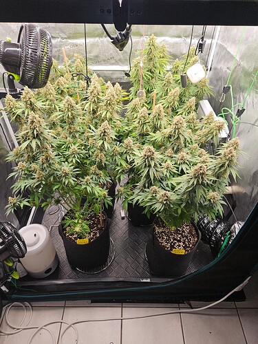 Growreport Bild 12