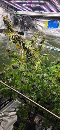 Growreport Bild 21