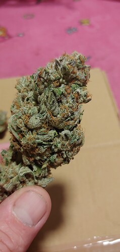 Growreport Bild 6
