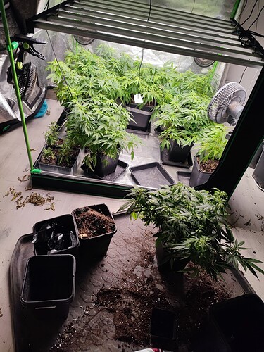 Growreport Bild 18