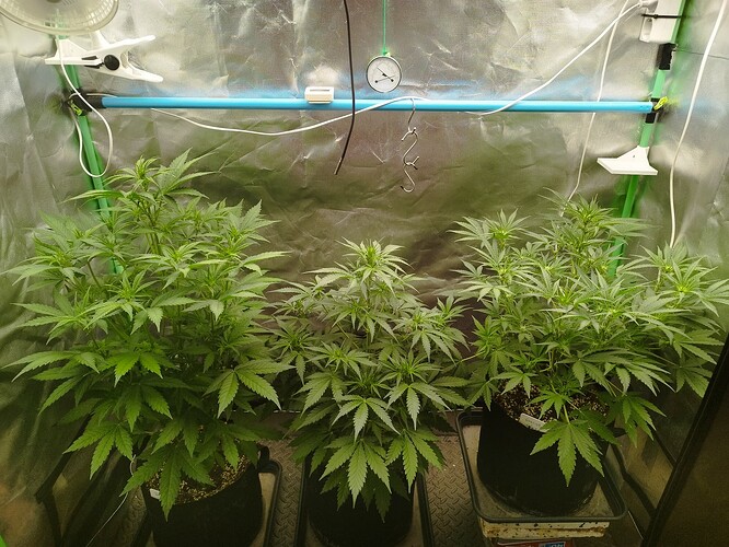 Growreport Bild 9