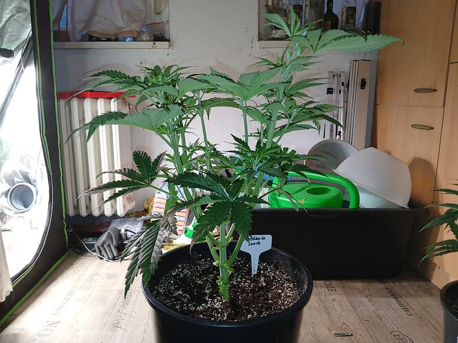 Growreport Bild 21