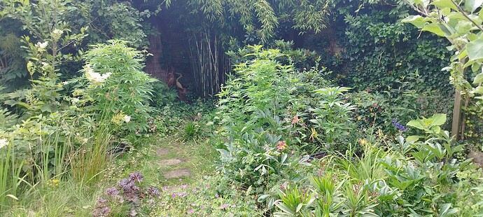 Growreport Bild 11