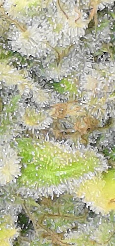 20250425_235349(1)(1)