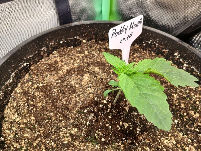 Growreport Bild 4