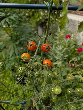 Growreport Bild 11