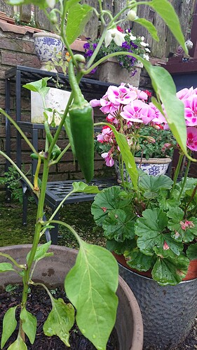Growreport Bild 9