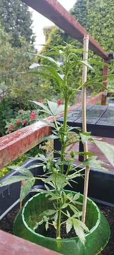 Growreport Bild 14