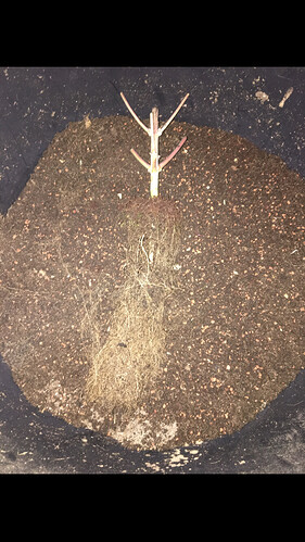 Growreport Bild 16