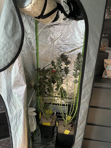 Growreport Bild 30