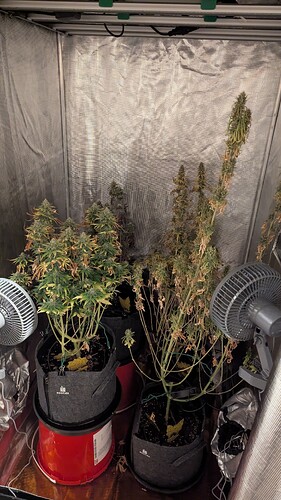 Growreport Bild 1