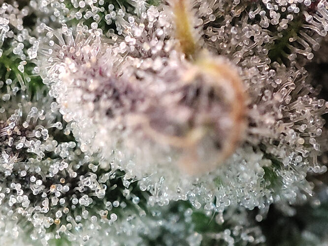 Growreport Bild 8