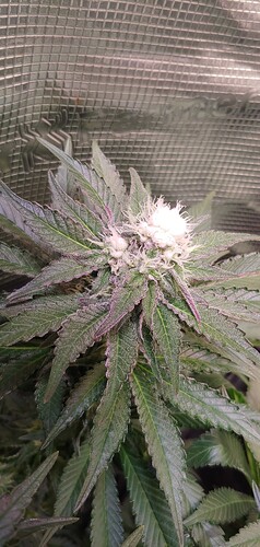 Growreport Bild 10