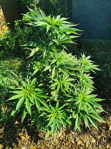 Growreport Bild 10