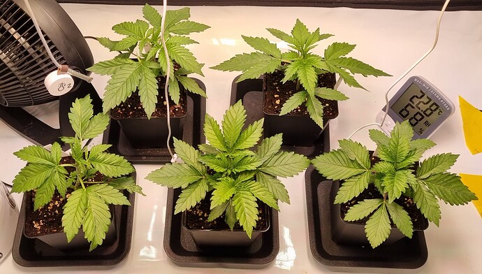 WhatsApp Image 2024-11-10 at 22.06.26 (4)