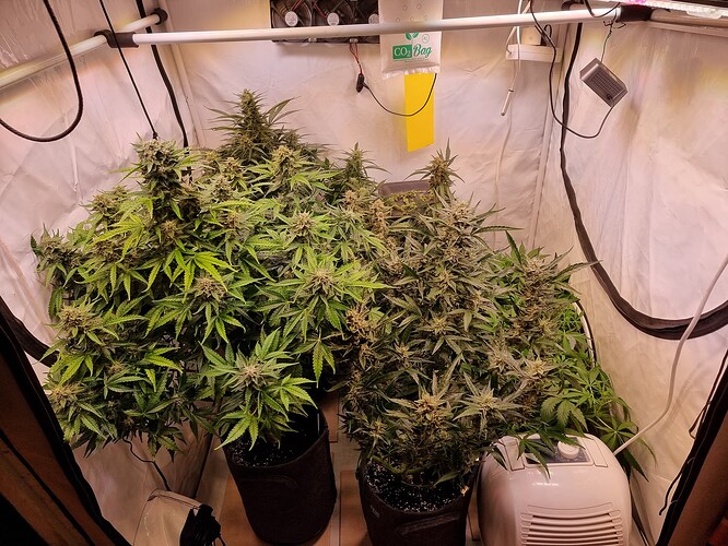 Growreport Bild 9