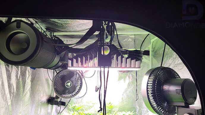 Blick in ein Growzelt mit LED-Beleuchtung, Umluftventilatoren und einem Aktivkohlefilter.